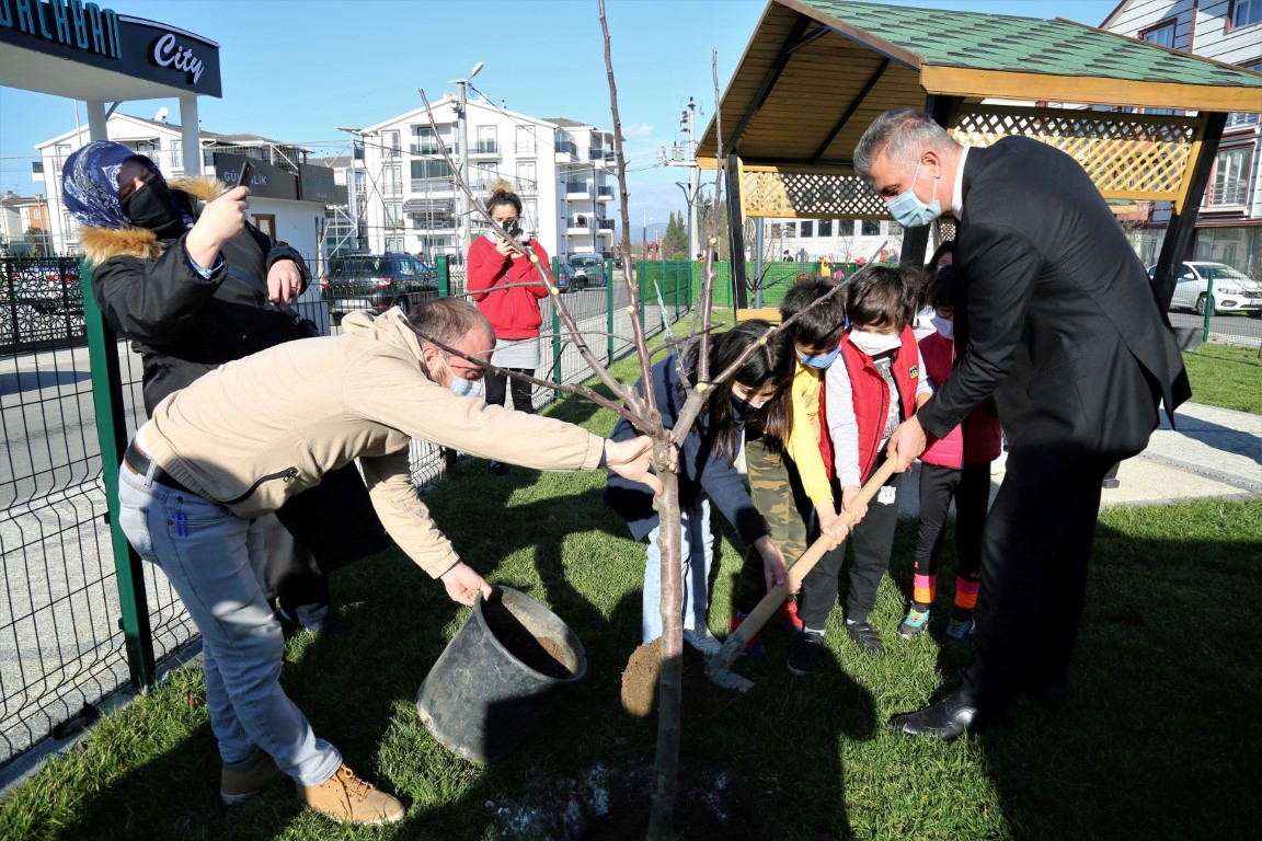 GLCKTE BRLK BERABERLK NDE ELMA AALARI TOPRAKLA BULUTU