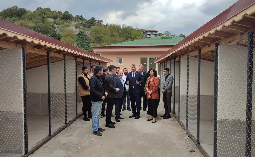 GLCKTE CAN DOSTLARININ YEN YUVASI TAMAMLANIYOR