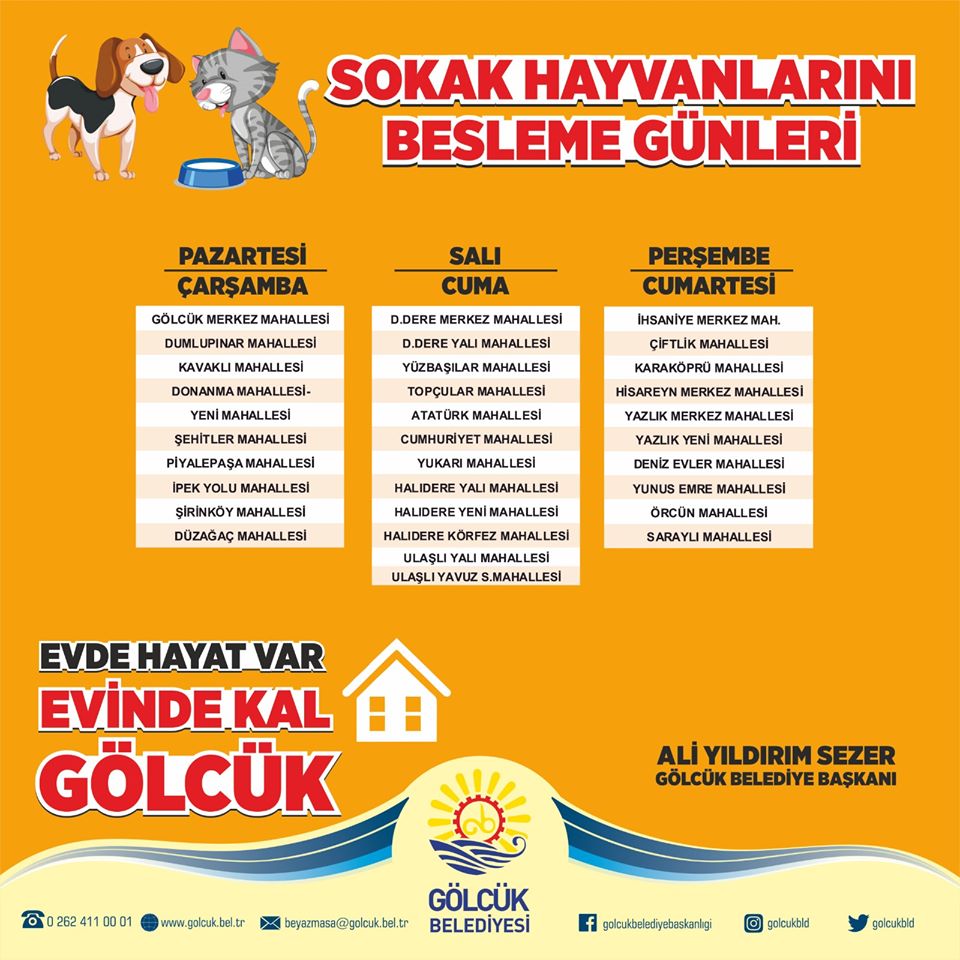 Sokak Hayvanlar�na 2.5 Ton Mama 