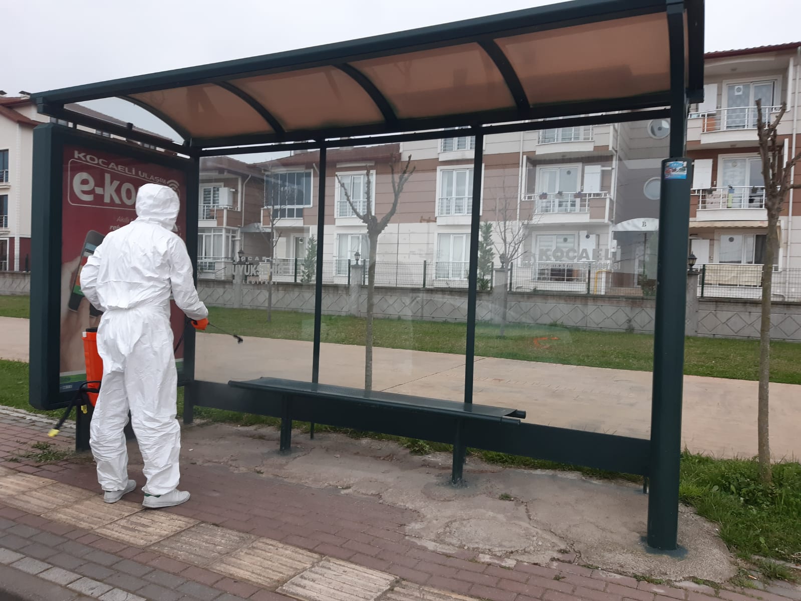 Dezenfekte almas Sistemli Bir ekilde Sryor